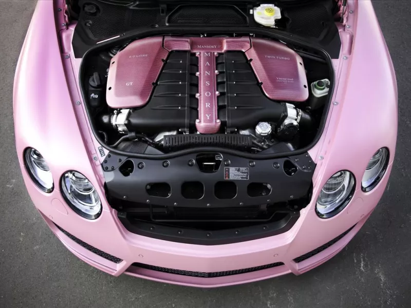 Vitesse Rose
