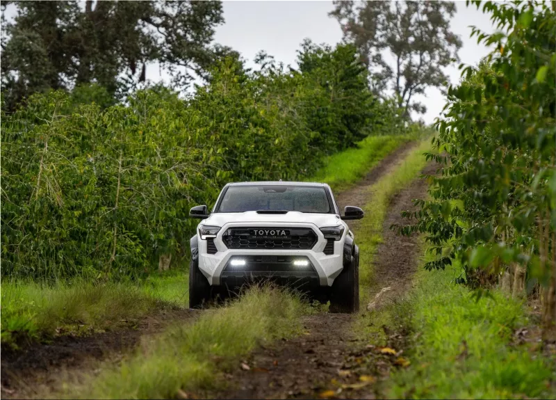 2024 Toyota Tacoma TRD Pro