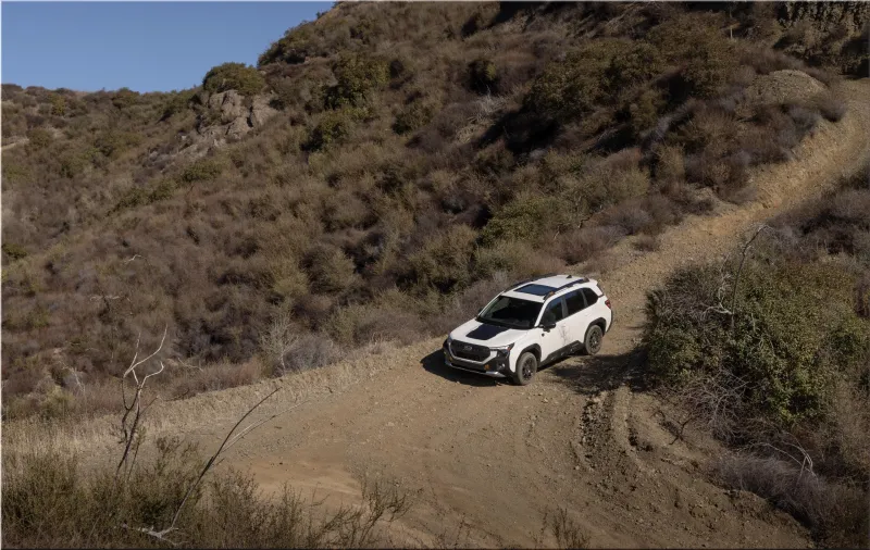 Subaru Forester Wilderness