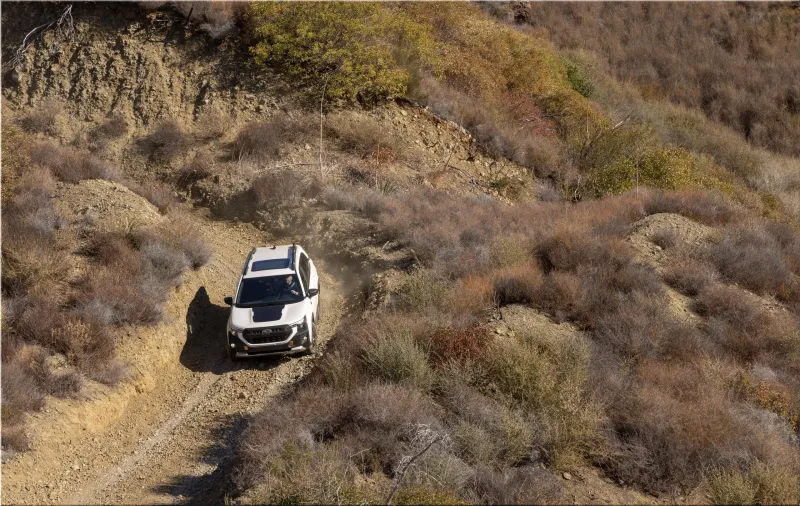 Subaru Forester Wilderness