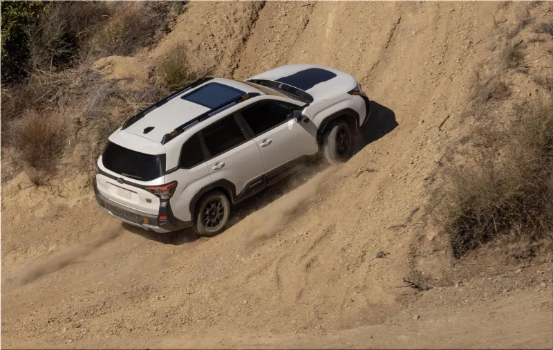 Subaru Forester Wilderness