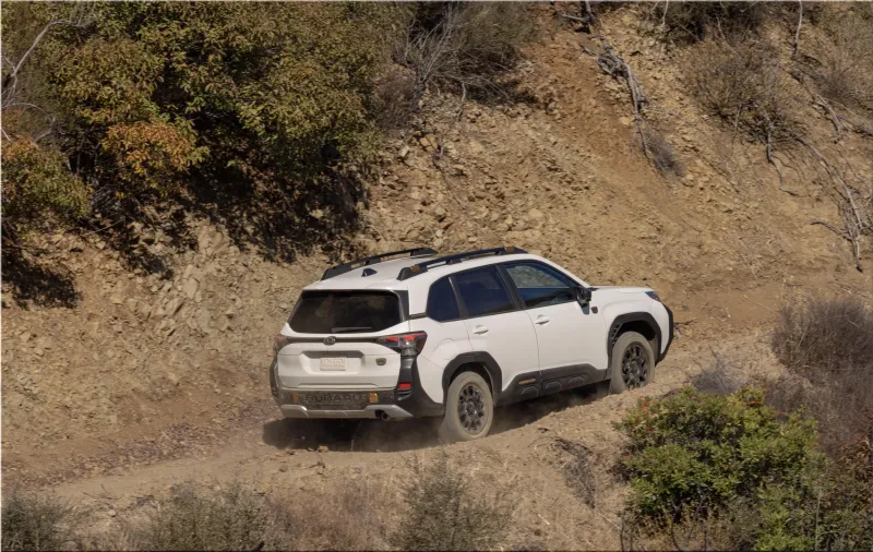 Subaru Forester Wilderness
