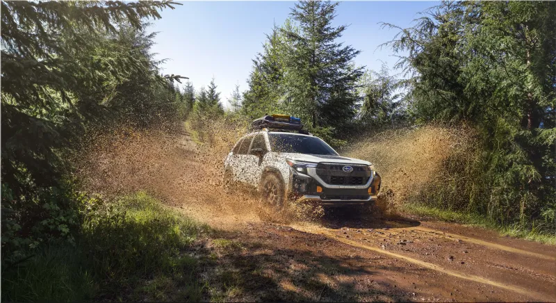Subaru Forester Wilderness