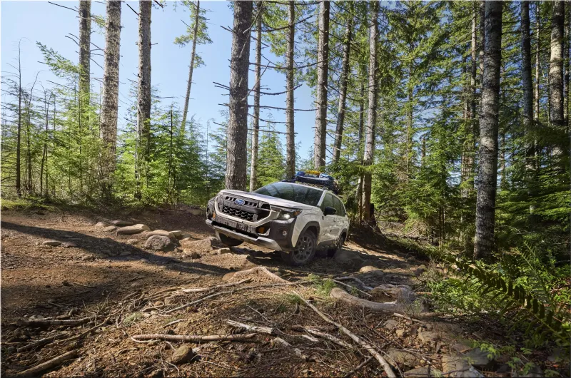 2026 Subaru Forester Wilderness