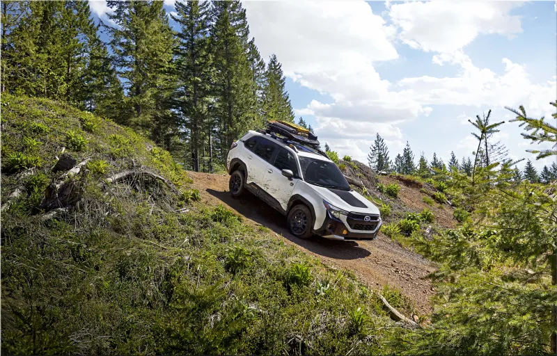 2026 Subaru Forester Wilderness
