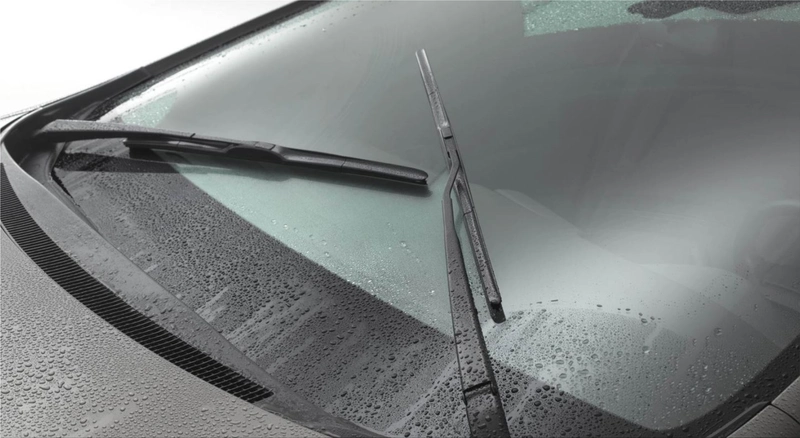 Car Windshield