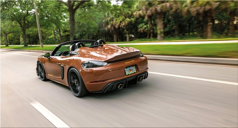 Porsche Sepia Brown