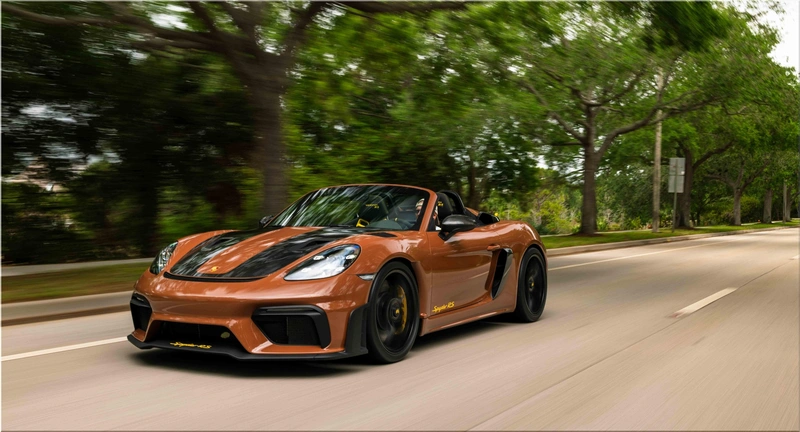 Porsche Sepia Brown