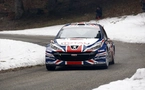 Peugeot 207 S2000 Evolution