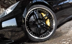 Exclusive accessories for the California Spider