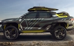 Renault Niagara Concept