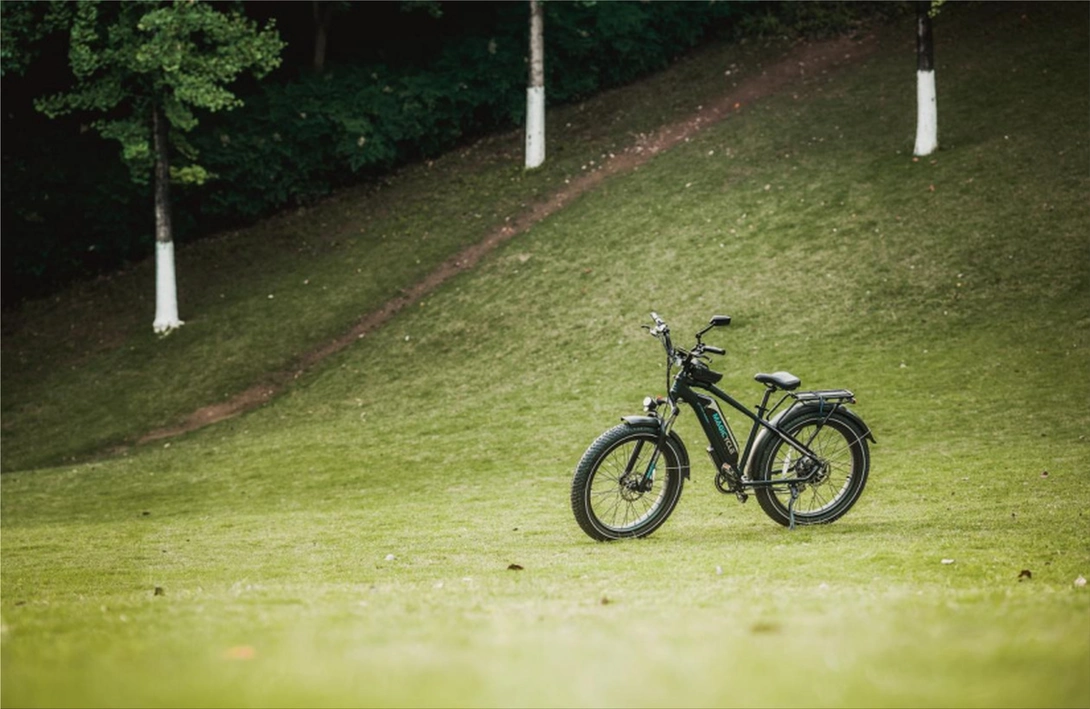 How to Choose an Electric Bike?