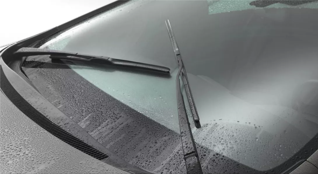 Car Windshield